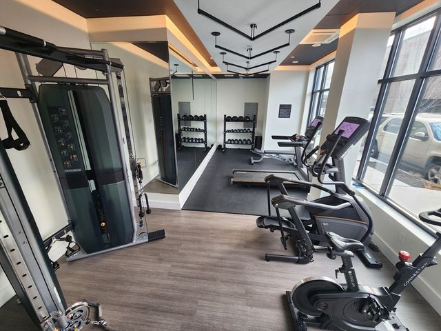 301 Border PH, Boston, MA 02128