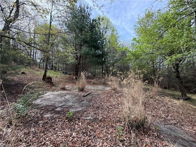 5636 Mertie Road, Millers Creek, NC 28635