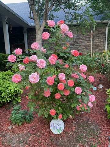 659 Cornwall Rd, Clarksville, TN 37043