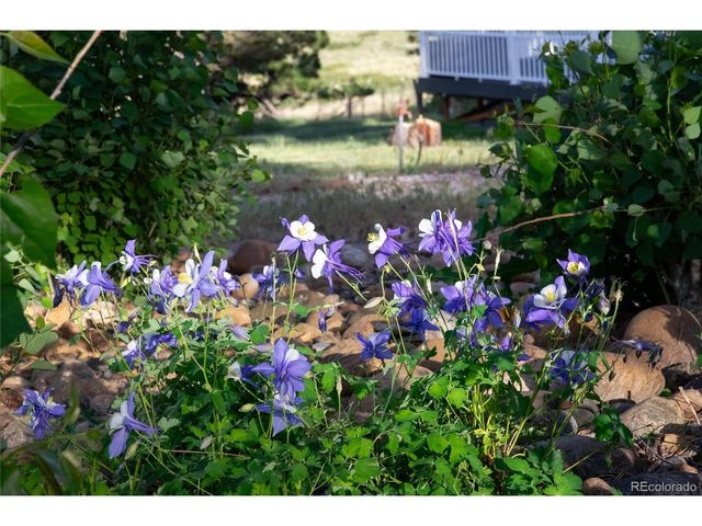 34274 Wolf Creek Trl, Kiowa, CO 80117