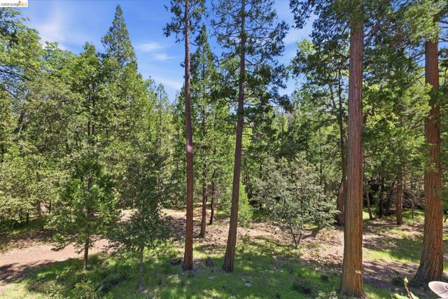 17030 Big Falls Trl, Sonora, CA 95370