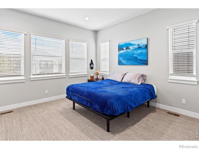 1869 Blossom Grove Drive, Windsor, CO 80550