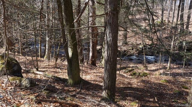 221 Starlight Road, Monticello, NY 12701