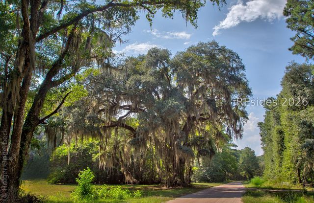 22 Maryfield Rd, Daufuskie Island, SC 29915