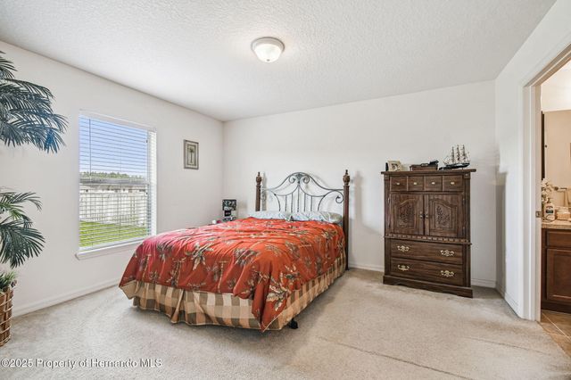 30821 Water Lily Drive, Brooksville, FL 34602