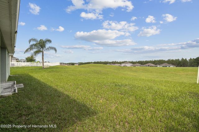 30821 Water Lily Drive, Brooksville, FL 34602