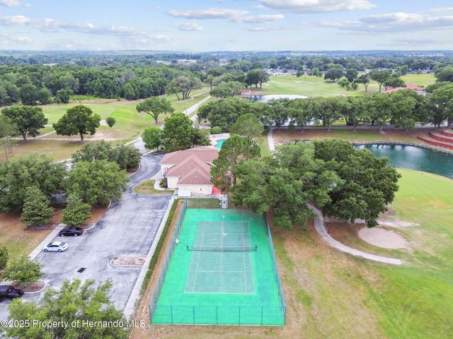 30821 Water Lily Drive, Brooksville, FL 34602