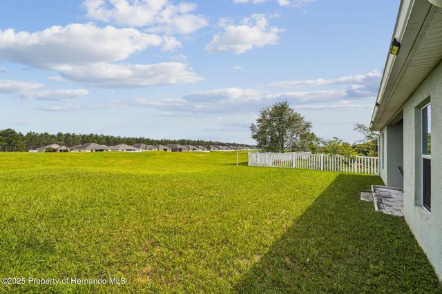 30821 Water Lily Drive, Brooksville, FL 34602