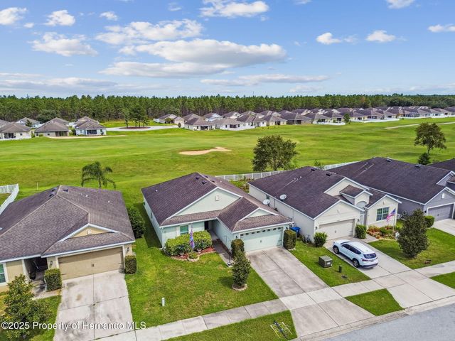 30821 Water Lily Drive, Brooksville, FL 34602