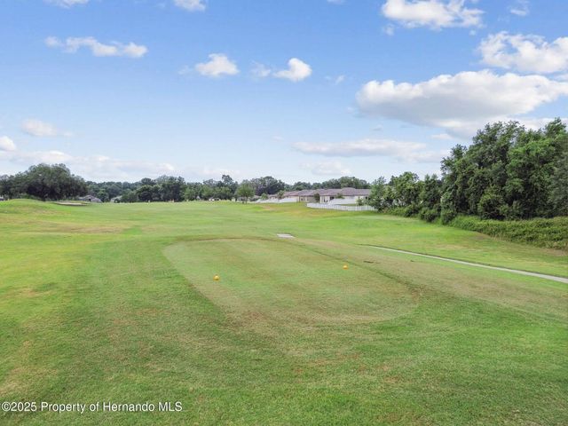 30821 Water Lily Drive, Brooksville, FL 34602