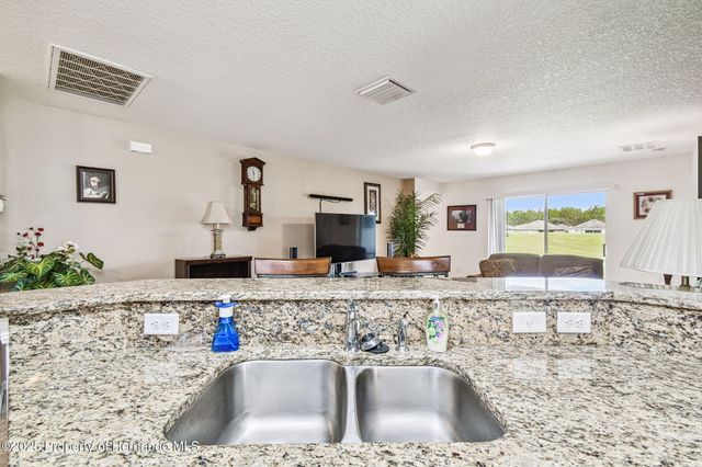 30821 Water Lily Drive, Brooksville, FL 34602
