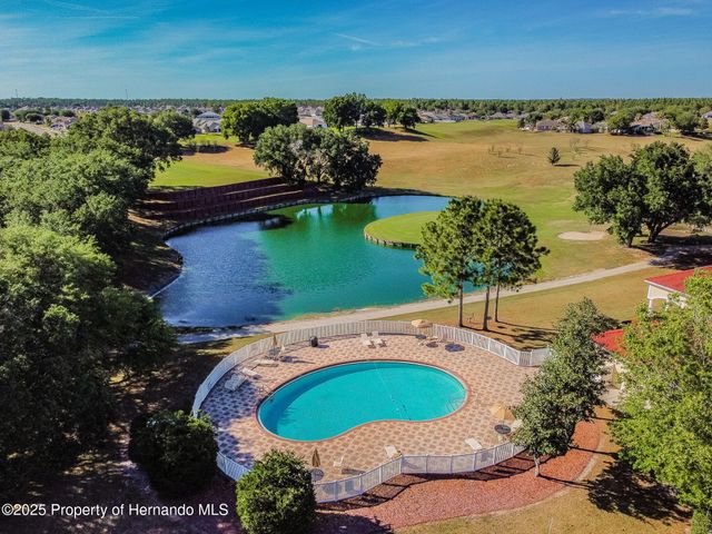 30821 Water Lily Drive, Brooksville, FL 34602