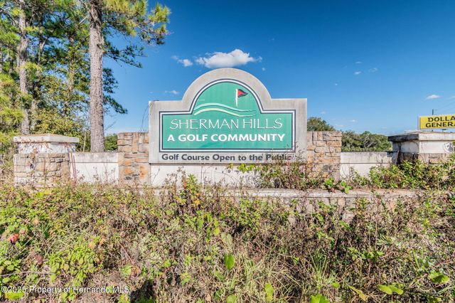 30821 Water Lily Drive, Brooksville, FL 34602