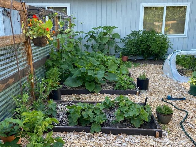 29408 O Street, Ocean Park, WA 98640