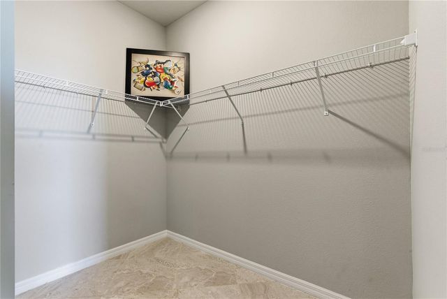 9539 IBIS GROVE BOULEVARD, Wesley Chapel, FL 33545