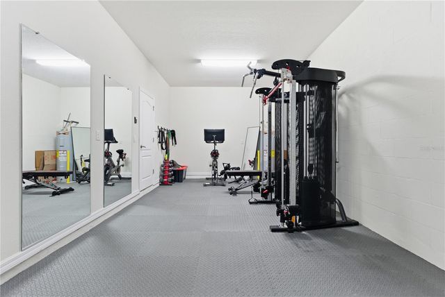 9539 IBIS GROVE BOULEVARD, Wesley Chapel, FL 33545