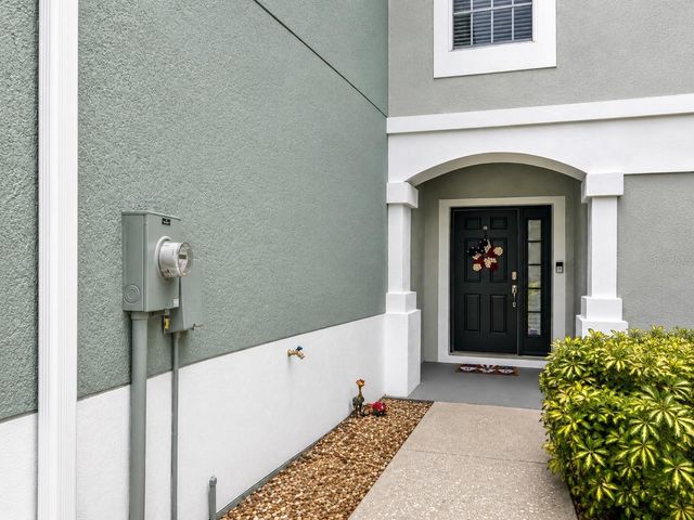 10137 PINK PALMATA COURT, Riverview, FL 33578