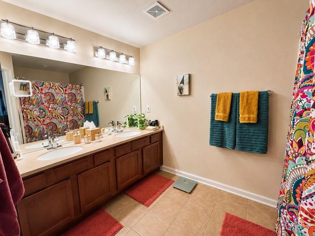 10137 PINK PALMATA COURT, Riverview, FL 33578