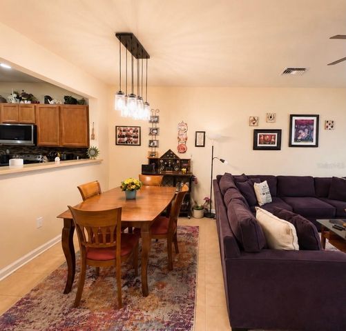 10137 PINK PALMATA COURT, Riverview, FL 33578
