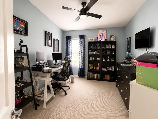 10137 PINK PALMATA COURT, Riverview, FL 33578