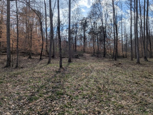7500 Antioch Rd, Smithville, TN 37166