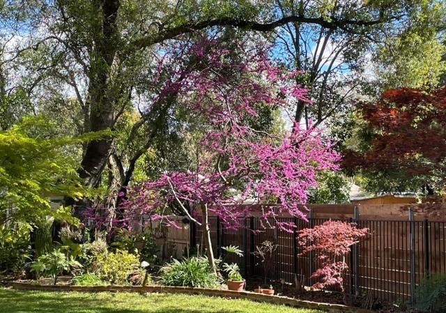 135 Nevada Ave, Roseville, CA 95678