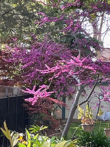 135 Nevada Ave, Roseville, CA 95678