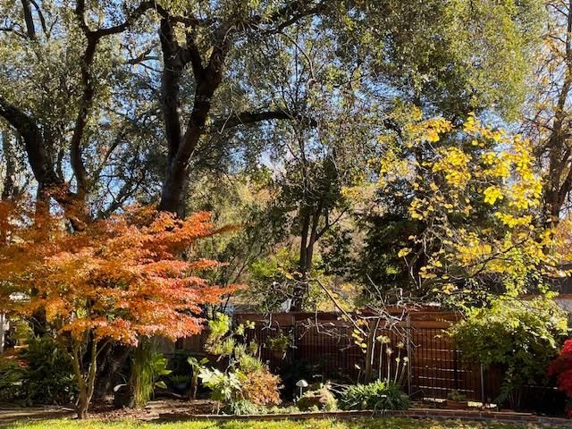 135 Nevada Ave, Roseville, CA 95678