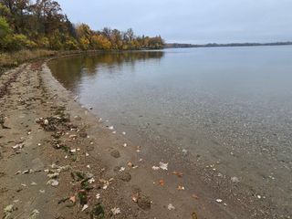 TBD Long Pine Road, Vergas, MN 56587