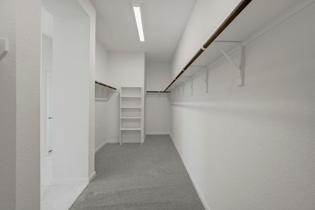 16211 Blue Mistflower Lane, Hockley, TX 77447