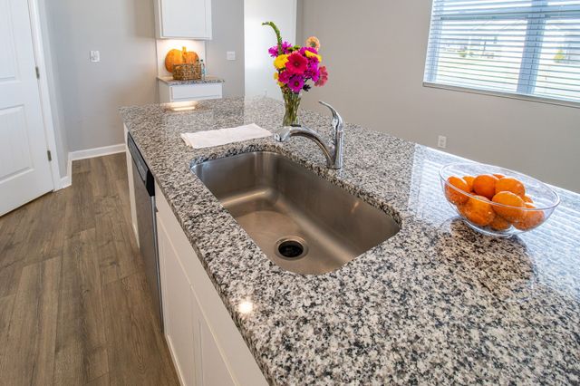 2405 Quinn Dr, White House, TN 37188