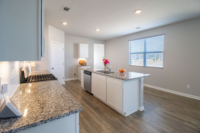 2405 Quinn Dr, White House, TN 37188