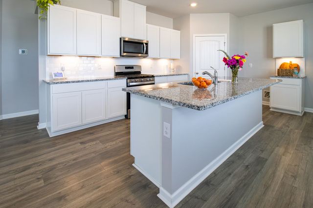 2405 Quinn Dr, White House, TN 37188