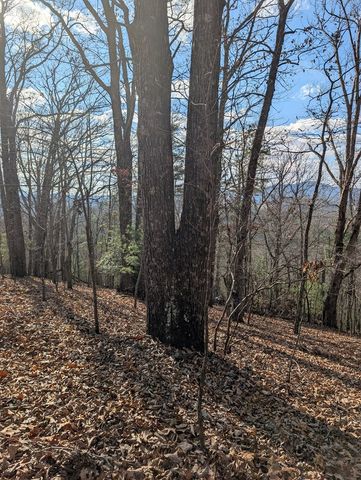 902 Mountain Top Drive, Murphy, MD 20906