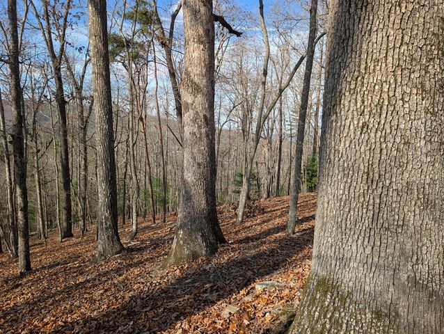 902 Mountain Top Drive, Murphy, MD 20906