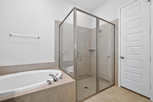 14727 Band Tailed Pigeon Court, Magnolia, TX 77354