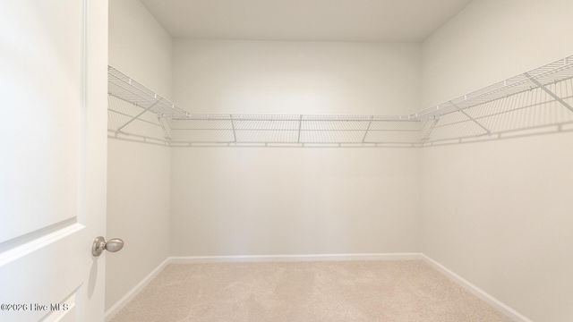 3208 Butterfly Ginger Street Lot 151, Leland, NC 28451