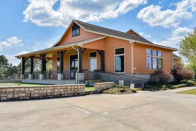 20600 Eagle Wood Trace Drive, Porter, TX 77365