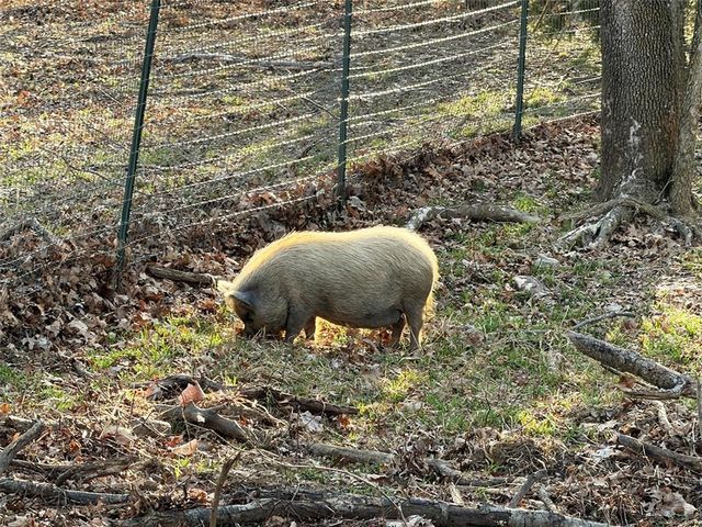 456 NW 151st Road, Clinton, MO 64735