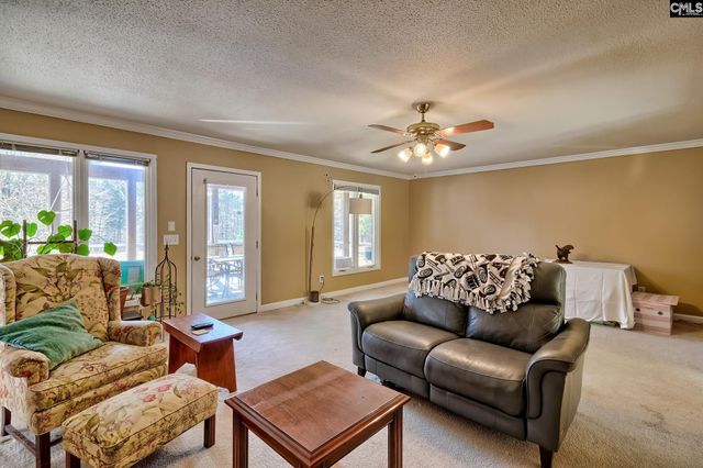 131 Shawn Road, Chapin, SC 29036