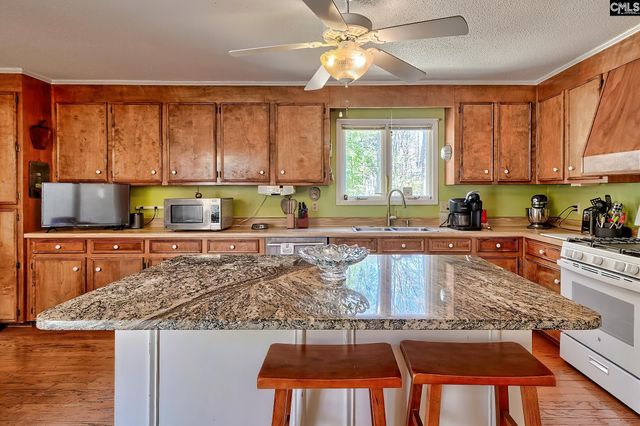 131 Shawn Road, Chapin, SC 29036