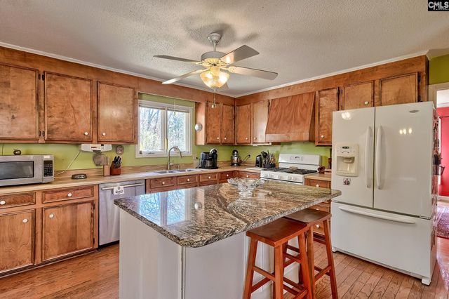 131 Shawn Road, Chapin, SC 29036
