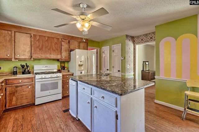 131 Shawn Road, Chapin, SC 29036