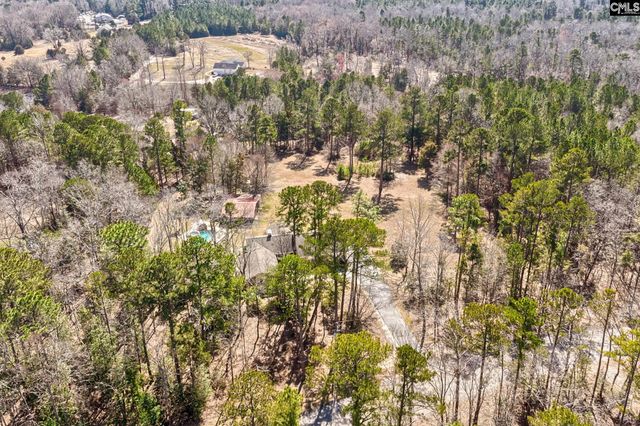 131 Shawn Road, Chapin, SC 29036