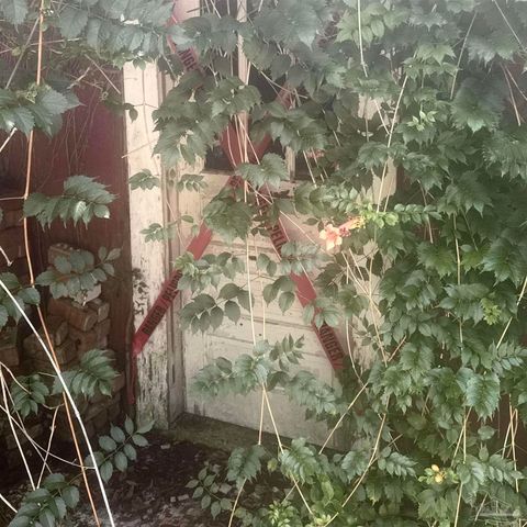 6305 W Jackson St, Pensacola, FL 32506