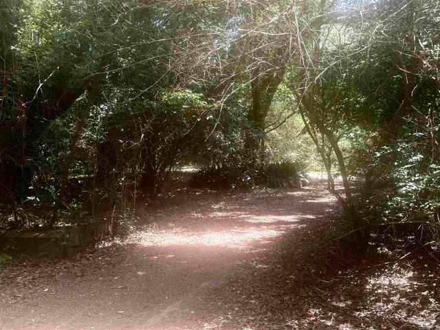 6305 W Jackson St, Pensacola, FL 32506