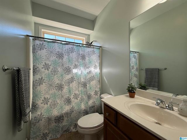 3299 RIVER BIRCH TRAIL, Chelsea, AL 35043