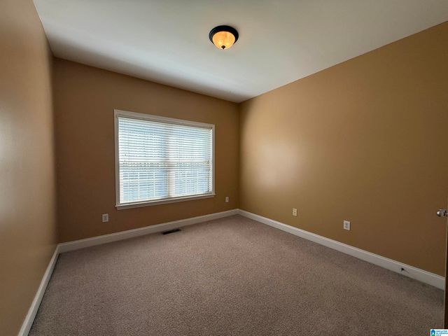 3299 RIVER BIRCH TRAIL, Chelsea, AL 35043