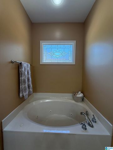 3299 RIVER BIRCH TRAIL, Chelsea, AL 35043