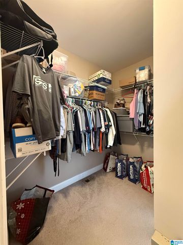 3299 RIVER BIRCH TRAIL, Chelsea, AL 35043